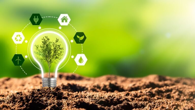Catalyseurs du Développement Durable